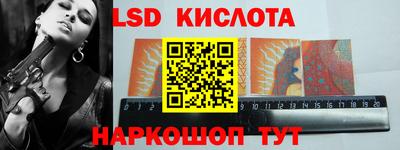 спайс Кингисепп