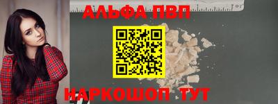 спайс Кингисепп