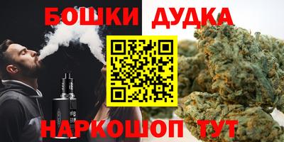 спайс Кингисепп
