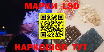 спайс Кингисепп