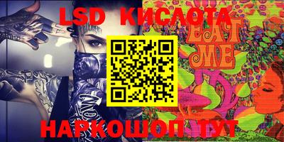 спайс Кингисепп