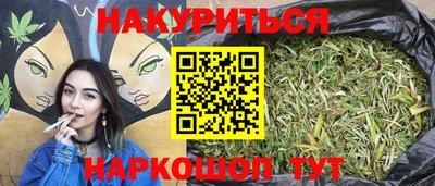 спайс Кингисепп