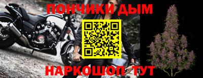 спайс Кингисепп