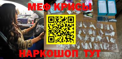 спайс Кингисепп