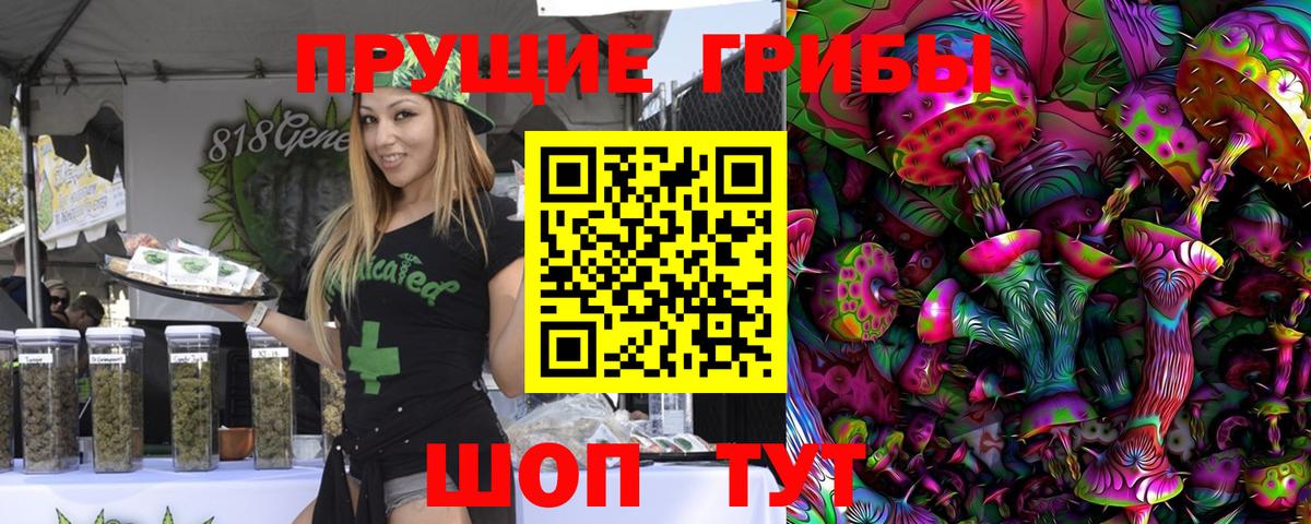 Галлюциногенные грибы GOLDEN TEACHER Усть-Джегута